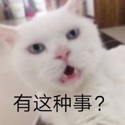 发表情表情包大全微信表情包qq表情包fabiaoqing.com