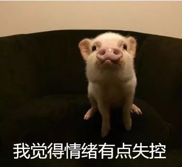 比熬夜更羞耻的,是想睡觉时却失眠