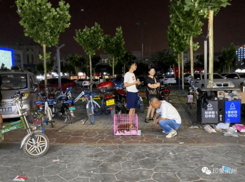 滨州地摊被城管清理网友渤海国际还剩二十来个