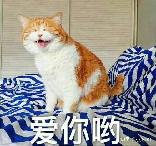 2018上海财经大学新闻传播学805新闻传播实务考研真题回忆版