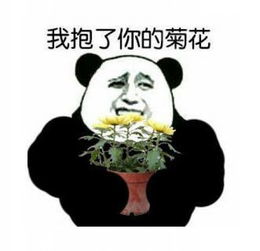 我抱了你的菊花表情包图片下载我抱了你的菊花表情包图片app下载我抱了你的菊花表情包图片手机版下载