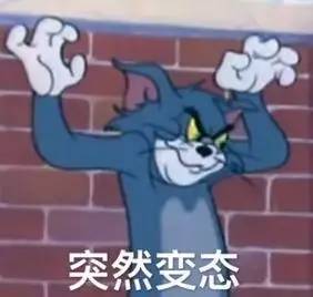 吴京谢楠最亲密的战友,一辈子的爱人