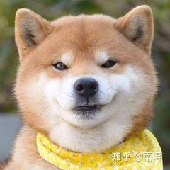 有没有类似这样狗狗的表情包