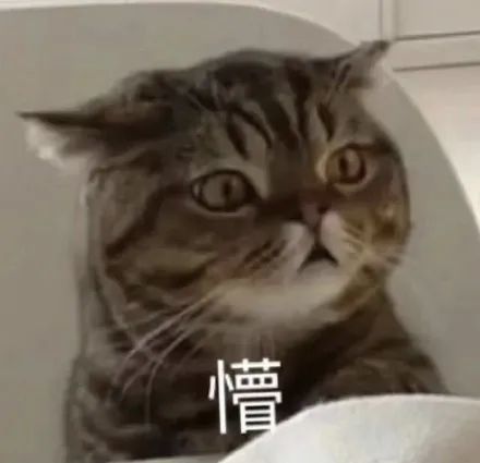 在逃3000w顶流朱一龙,这次被锤中了吗