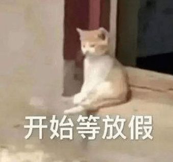 2022春运大片开播今年你计划回家吗