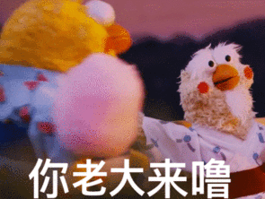 鹦鹉兄弟动态表情包