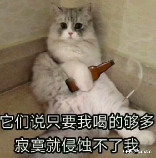 番外说书人