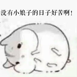 仓鼠球表情包系列小娘子