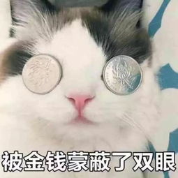 潍坊神秘人物被曝光了高达1000多万个人资产,消息一出瞬间炸了锅