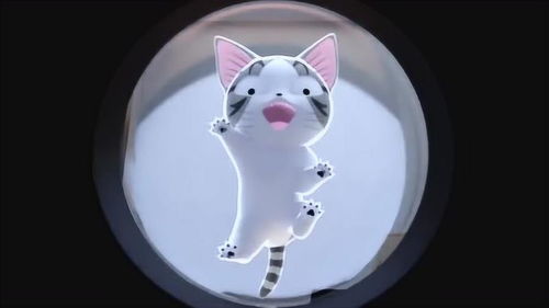 甜甜私房猫小奇本来想躲在洗衣机里的,没想到被盒子盖住了