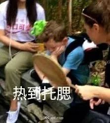 坚持啊秋老虎还有几天