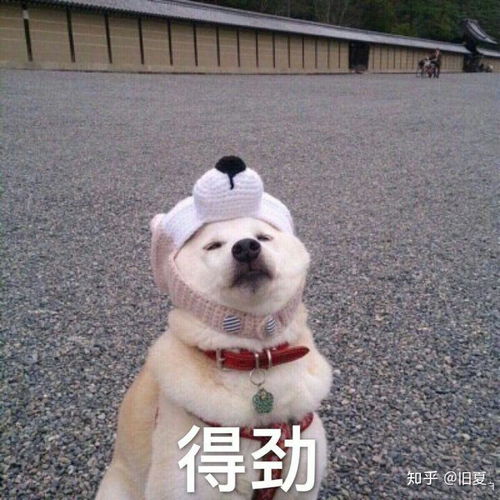 第一次接吻是什么样的感觉