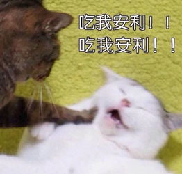 这才是送女生礼物的正确打开方式