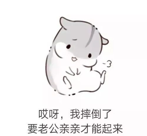 可爱仓鼠表情包头像