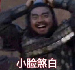 最近很火的张飞表情包俺也一样