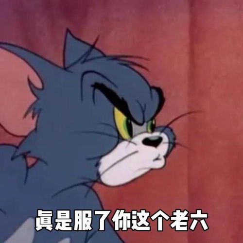 猫和老鼠表情包,真是服了你这个老六