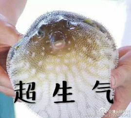 吧务为何删我的帖子,为什么,我哪里得罪你了,我说我