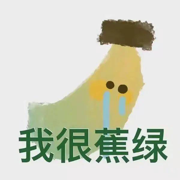 分研会动态苏州大学学科语文之考研进行时