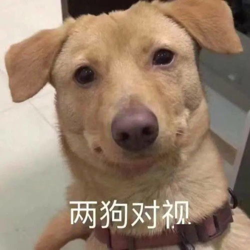 奇怪的表情增加了