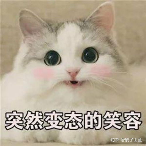 有哪些女主很厉害的快穿文值得推荐