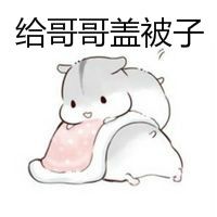 仓鼠兄妹表情包手绘可爱版仓鼠妹妹表情包