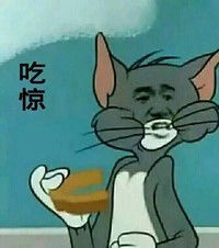 堆糖,美好生活研究所