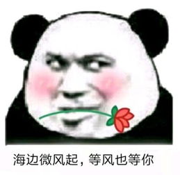 表情包我等你好久了,快说爱我