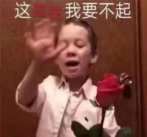 可能是我太贫穷,看到建在大海上的房子海席之后觉得自己不配享受孤独