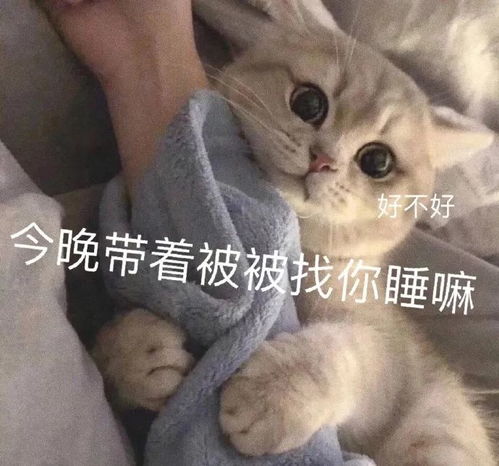 表情包女人只会影响我拔剑的速度