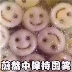 那你养我呀表情包派来