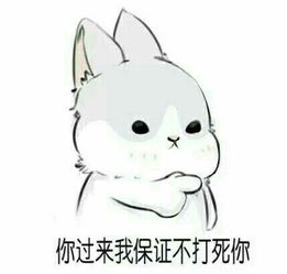 谁有这种系列的兔子表情包吗这只兔子叫什么
