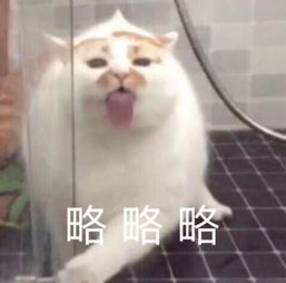 科学研究表明,撸猫好处多多
