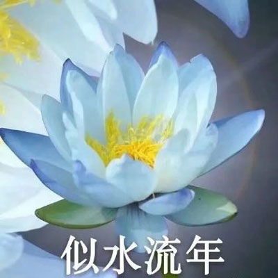 抖音敲木鱼表情包
