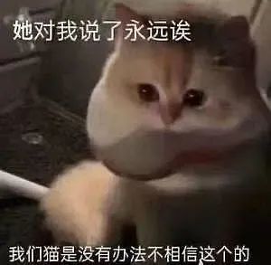 奇奇怪怪的表情包聊天必备