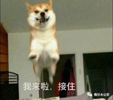 警察也在摆地摊卖什么