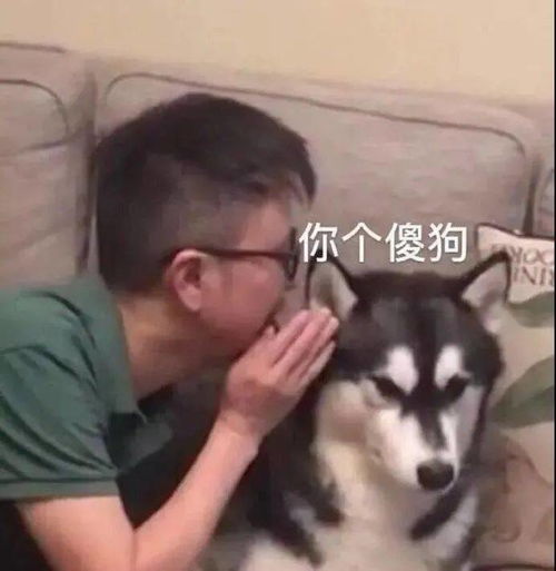今日表情推荐,826