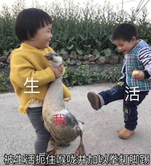 搞笑段子童年时最搞笑的事情,真的是笑到肚子痛啊