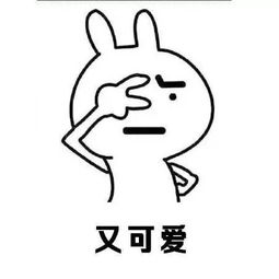 表情包可爱萌卡通动漫gif纯文字污金馆长堆糖,美好生活研究所