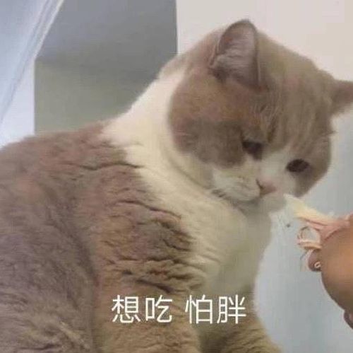 想看的书