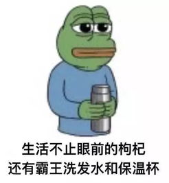 2017年度表情包大赏小猪佩奇,笑着活下去,边缘试探.你最爱哪一个