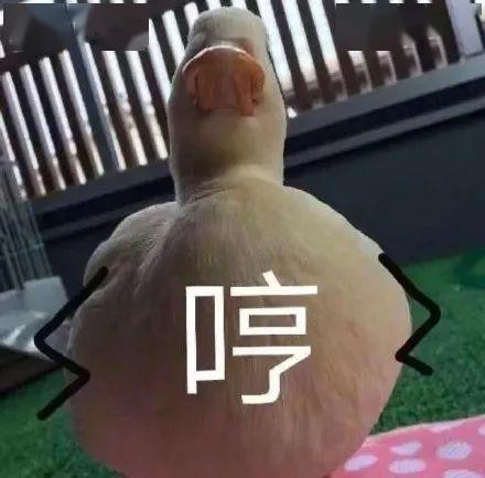 新hl之家男票手机每次逛都有新发现哈哈哈哈哈