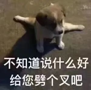 表情包大哥,你是这个