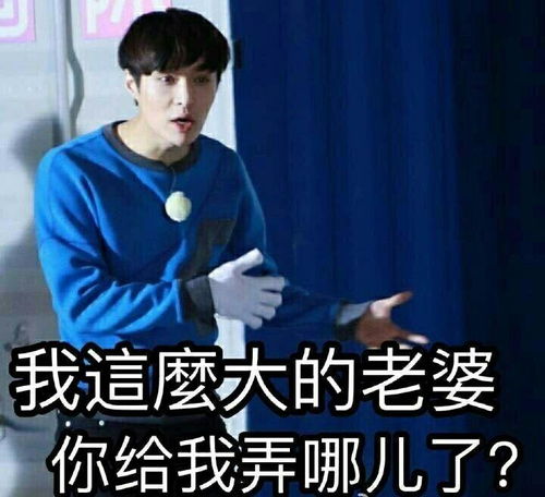 exol们看过来,大家有没有好玩的关于exo的表情包啊