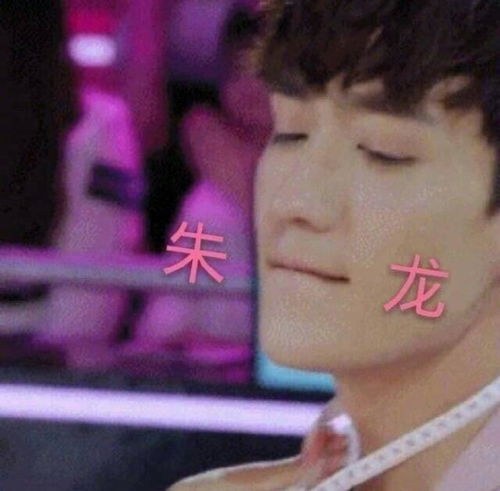 这些明星活成了行走的表情包,网友原谅我笑出了猪声大陆