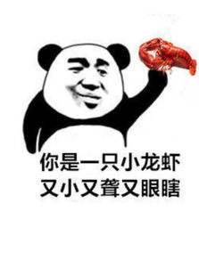 熊猫头怼人专用表情包你是一条酸菜鱼,又酸又菜又多余