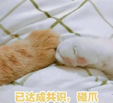 不知道核酸检测怎么开单快速核酸检测看这里