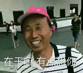 男生聊天破冰表情包嗨宝贝,你在干嘛