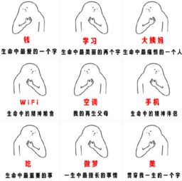 心灵鸡汤聊天表情包之最爱生命中最xx系列表情包下载共9p腾牛下载