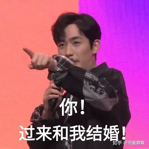 你好,可以用朱一龙的表情包砸死我吗