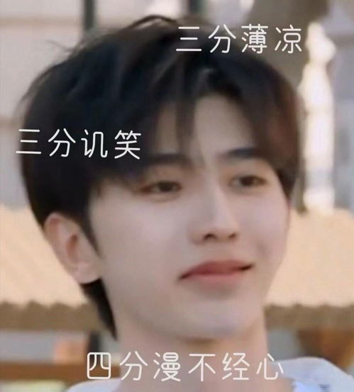百看不厌蔡小葵表情包